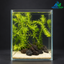 Emerald Lava Grove – Premium Mini Planted Aquarium