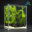 Emerald Lava Grove – Premium Mini Planted Aquarium