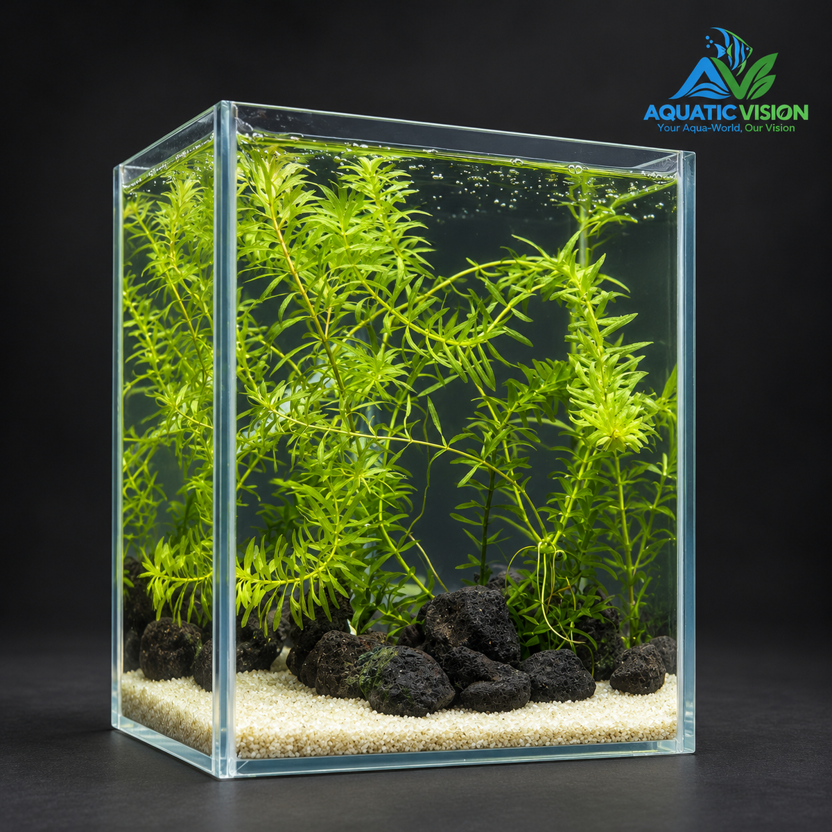 Emerald Lava Grove – Premium Mini Planted Aquarium