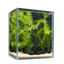 Emerald Lava Grove – Premium Mini Planted Aquarium