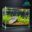 Emerald Stone Meadow – Premium Mini Planted Aquascape Aquarium