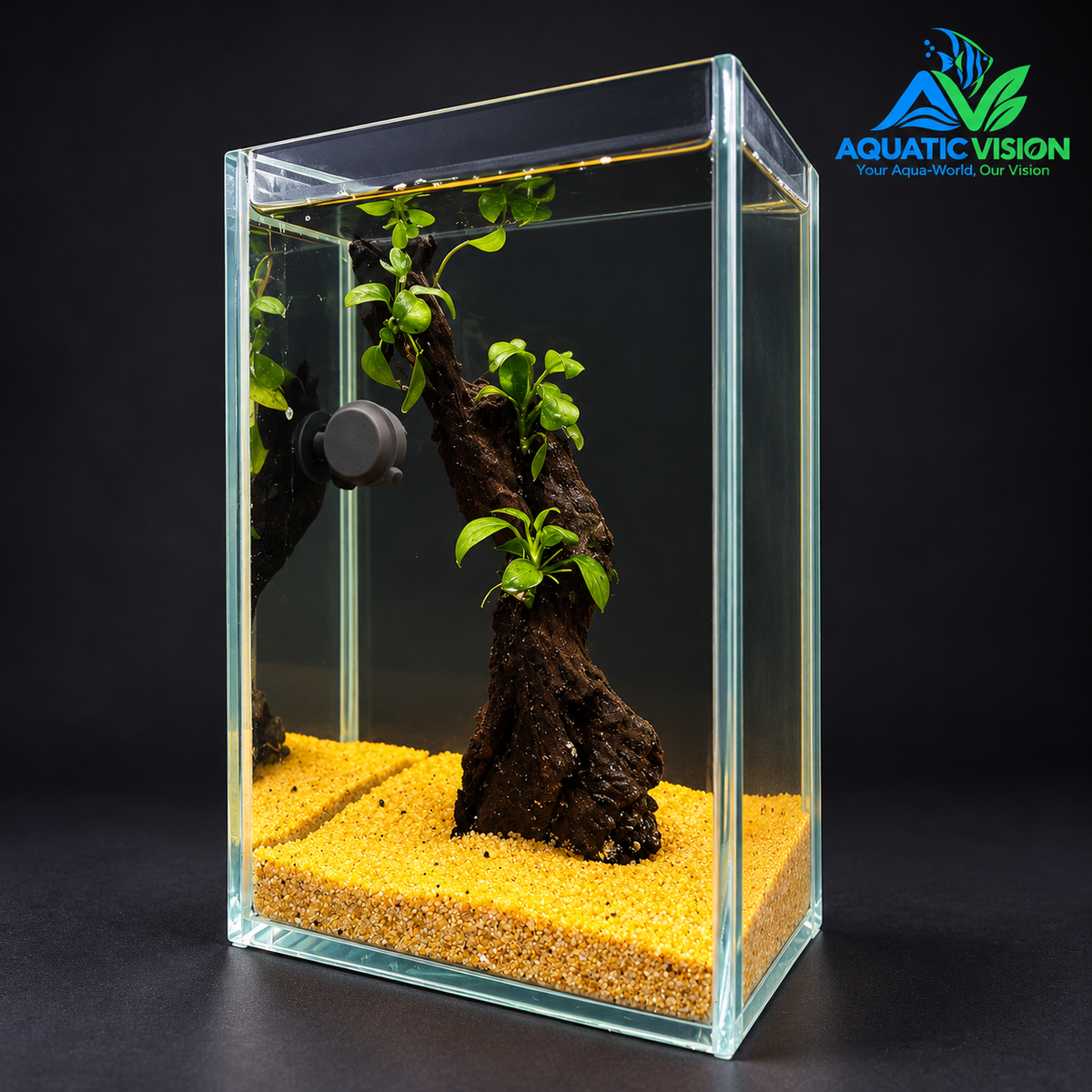 Golden Root Bonsai – Premium Mini Planted Aquascape Aquarium