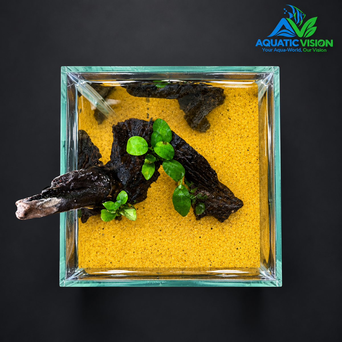Golden Root Bonsai – Premium Mini Planted Aquascape Aquarium
