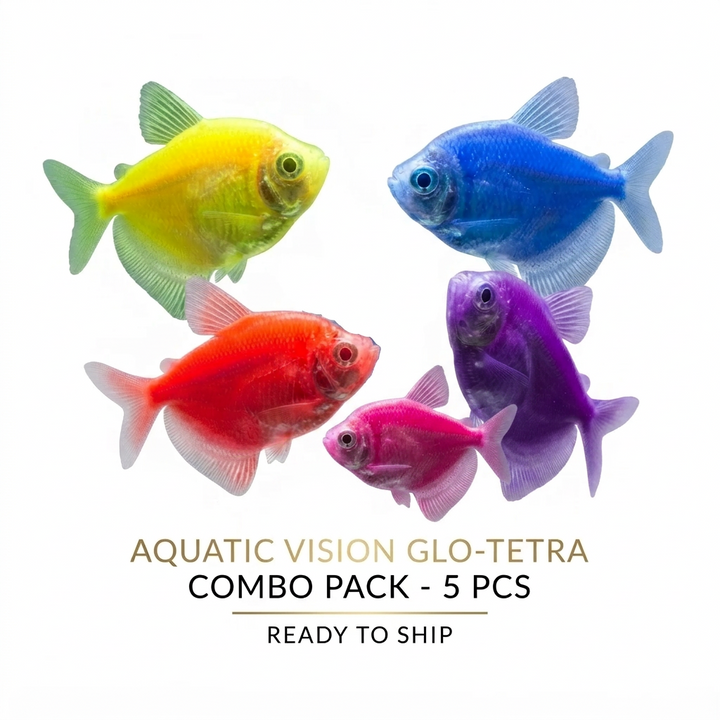 German Tetra 5PCS Combo Deal (Mix Color)