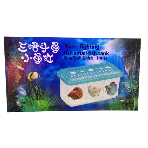 THREE FIGHTING FISH SMALL FISH TANK