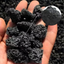 LAVA ROCK CRUSH SMALL 1 KG