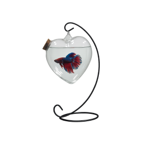 Glass Hanging Fish Tank Heart Shape