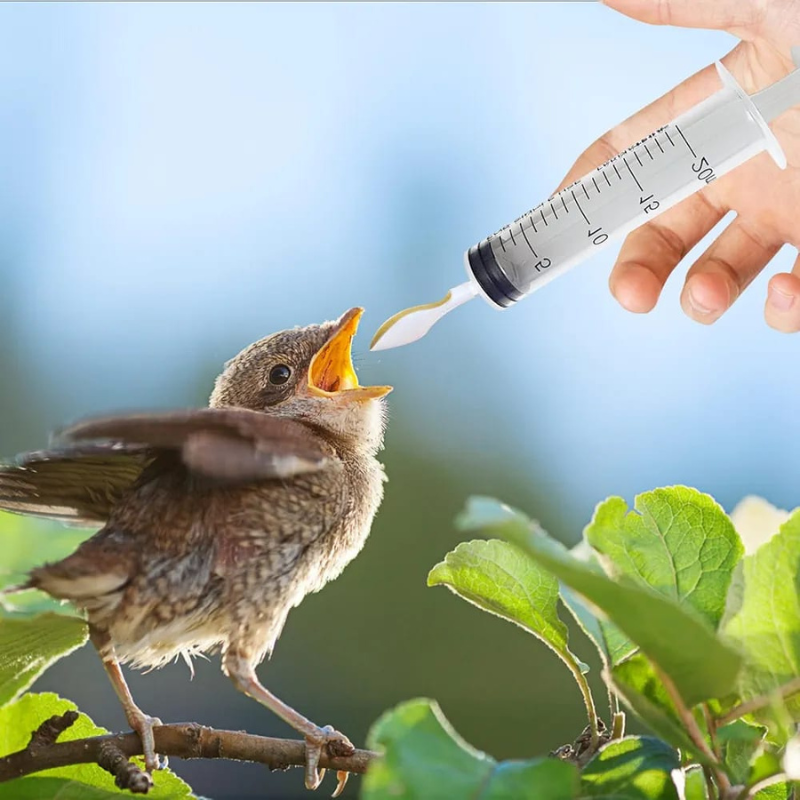 Bird Syringe Feeder Kit 4pcs Kit-20ml