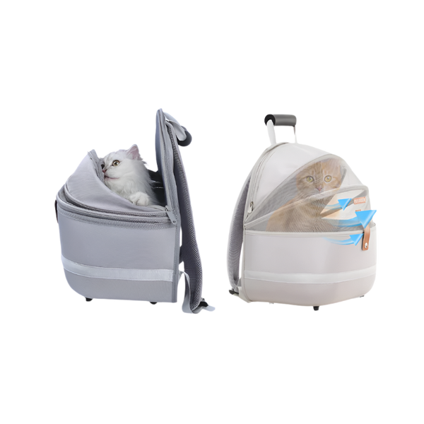 Foldable Cats Pack Bag