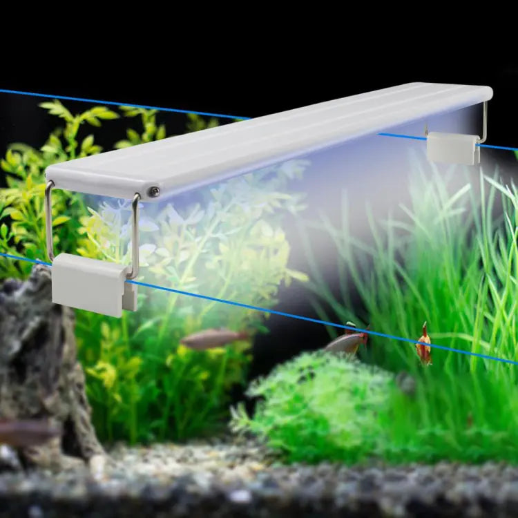 Roxin Led Top Light Colorfull