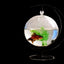Glass Hanging Bowl