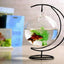 Glass Hanging Bowl