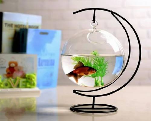 Glass Hanging Bowl