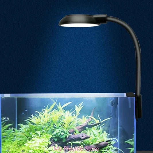 ضوء LED أزرق مائي DEE-Q5