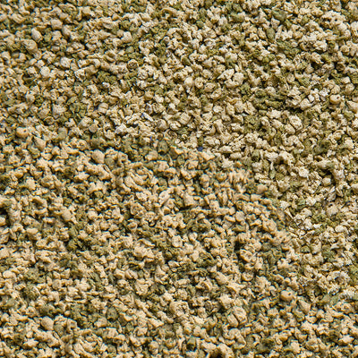 Sera Vipagran Granules 100ml