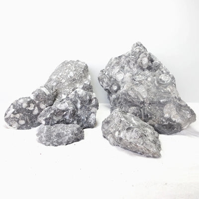 Sunk Jade Rock 1KG