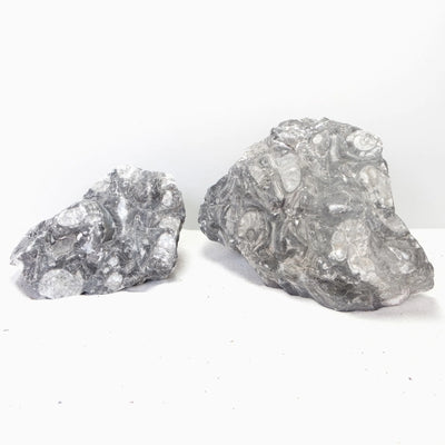 Sunk Jade Rock 1KG