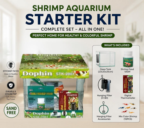 Shrimp Startup All in One Deal
