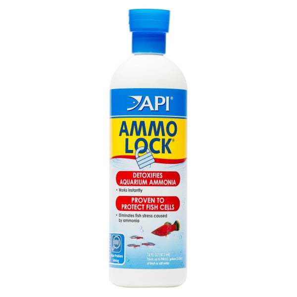API AMMO LOCK