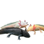 Axolotl 12-15CM