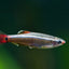 Cloud Mountain Minnow 3PCS Combo Deal