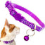 SAAS CAT COLLAR