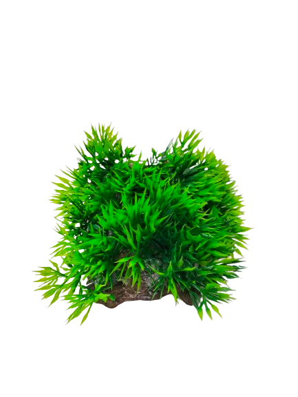 AQUARIUM DECORATION