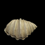 AQUARIUM DECORATION