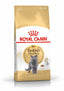 ROYAL CANIN British Shorthair Adult