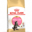 ROYAL CANIN MAINE COON KITTEN