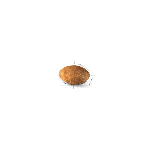 رويال كانين بيرسيان أدلت 10 كجم