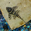 Chocolate Zebra Pleco L270