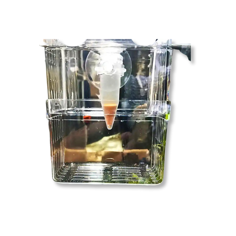Smart Fish Shrimp Egg fish Tank Feeder
