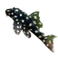 Orinoco Angel Pleco. L201