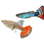 Guppy 5PCS Combo Deal (Mix Color)