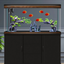 Karis Perfect Aquarium with Cabinet 120cm