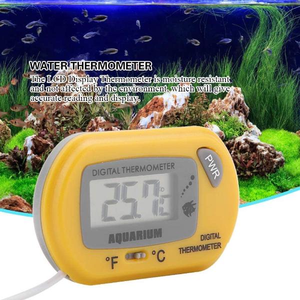 Yellow Digital Aquarium Thermometer (Oval Shape)