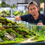 Nasru from Aquatic Vision arranging a lush planted aquarium