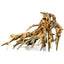 Octopus Drift Wood