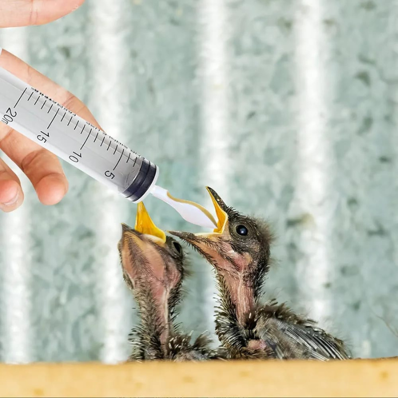 Bird Syringe Feeder Kit 4pcs Kit-20ml