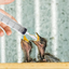 Bird Syringe Feeder Kit 4pcs Kit-20ml