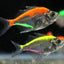 GLASS FISH 4CM