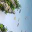 Red Neon Blue Eye Rainbow Fish 2-3cm