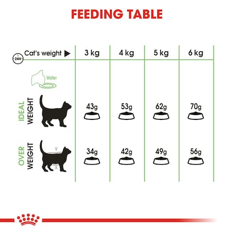 ROYAL CANIN DIGESTIVE CARE
