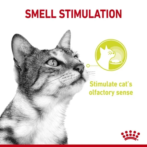ROYAL CANIN Sensory Smell Gravy 85G