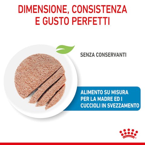 ROYAL CANIN STARTER MOUSSE CANE 195G