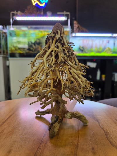 Christmas Bonasai Tree Driftwood