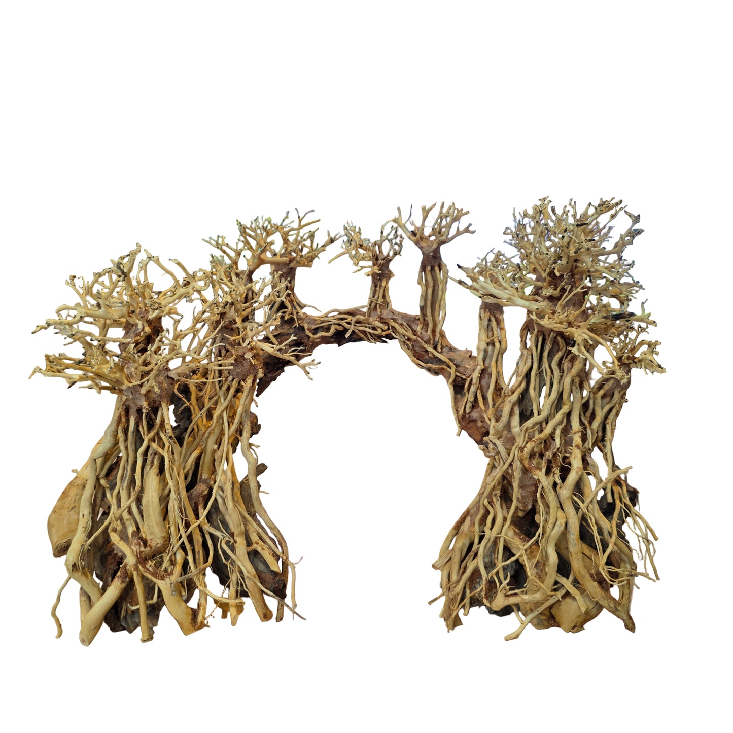 Romantic Bridge Bonsai Driftwood