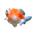 Pearl Scale Goldfish