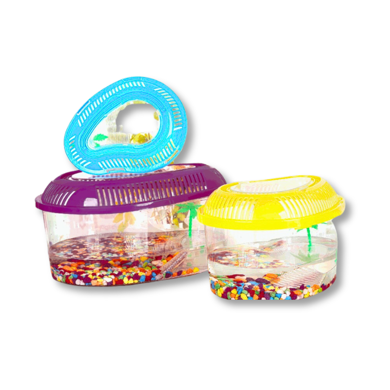 Plastic Turtle Tank
